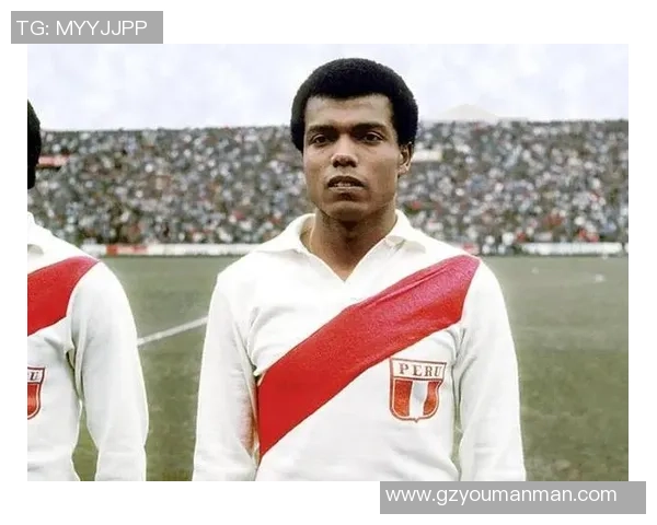 足坛巨星：辉煌征程与传奇风采